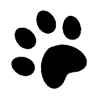 paw icon